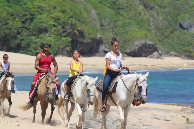 Horseback Riding through Secluded Beaches and Tropical Forests - Who should book this ride?