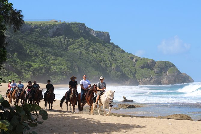 Horseback Riding through Secluded Beaches and Tropical Forests - Practical tips for a smoother ride