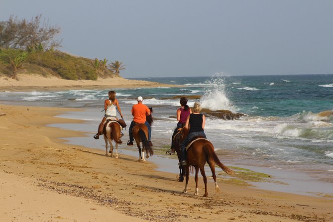 Horseback Riding through Secluded Beaches and Tropical Forests - Through forest, groves, and open coastal paths