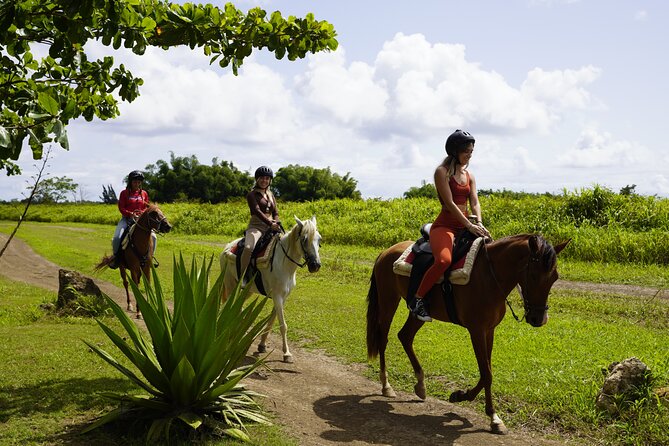 Horseback Riding Tour at Private Ranch - The best parts at a glance