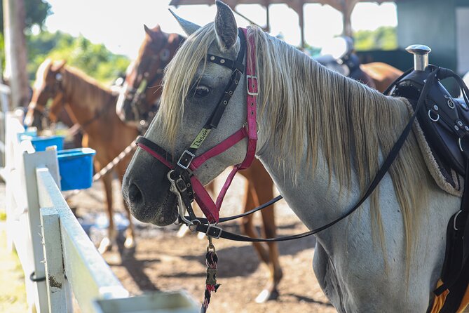 Horseback Riding Tour at Private Ranch - The guides make a real difference