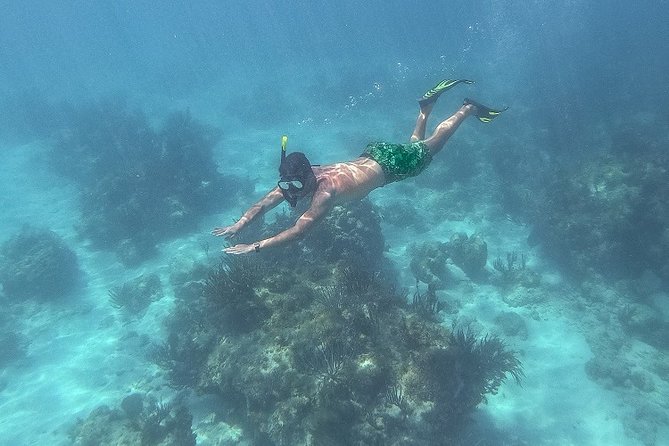 Icacos Deserted Island Catamaran, Snorkel, and Picnic Cruise - Snorkeling near Icacos: pleasant, but not guaranteed