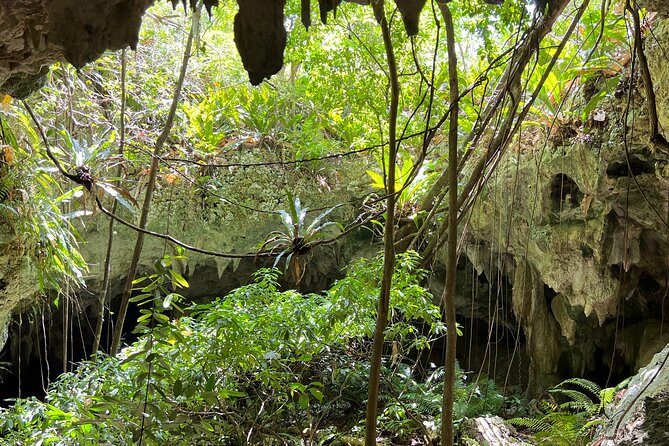 Indian Cave & Water Spring Adventure - What the local guide adds