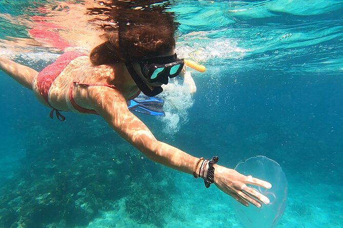 Island Hopping and Snorkeling Sailing and Boat Tours Fajardo - Isla Lobos adds variety to a half-day