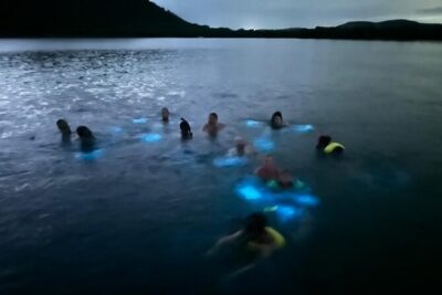La Parguera Bio Bay Boat Ride and Swimming w/ San Juan Transport