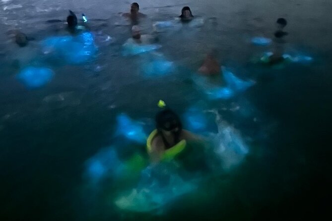 La Parguera Bio Bay Boat Ride and Swimming w/ San Juan Transport - The motorboat ride is short and direct