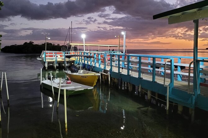 La Parguera Bio Bay Boat Ride and Swimming w/ San Juan Transport - The guide can shape the whole experience