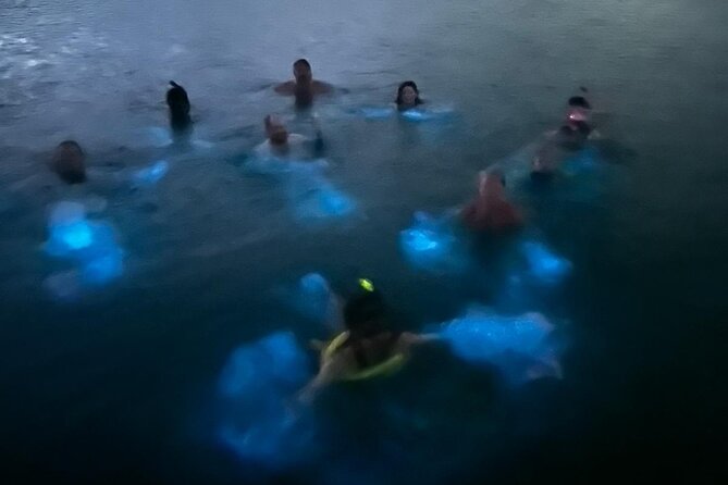 La Parguera Bio Bay Boat Ride and Swimming w/ San Juan Transport - What the $54.99 price really covers