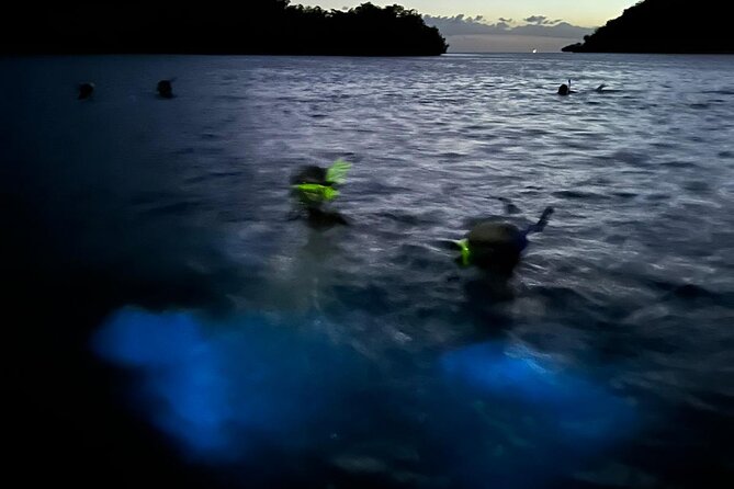 La Parguera Bio Bay Boat Ride and Swimming w/ San Juan Transport - Who should book this La Parguera outing?