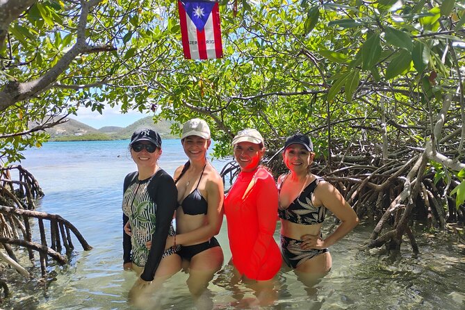 La Parguera Boat Charter with Captain: Kayak & Snorkel - Snorkeling, kayaking, and wildlife sightings