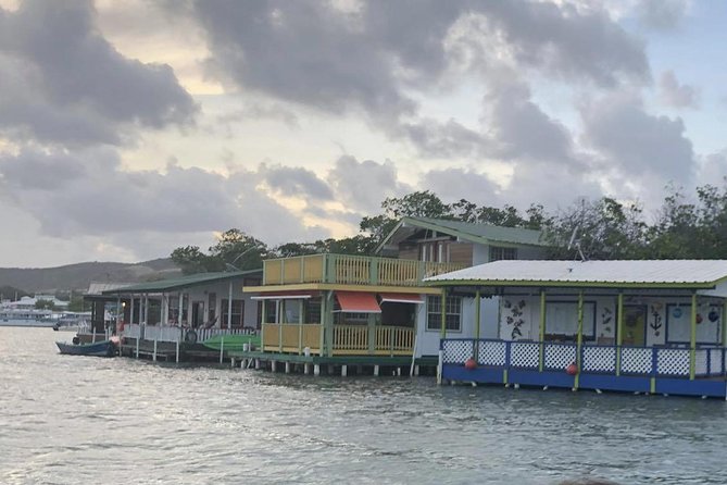 La Parguera Glowing Bioluminescent Bay Boat Tour from San Juan - Swimming versus staying in the boat
