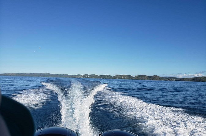 La Parguera Private Boat Charter - Mangrove channels, birding, and coastal views