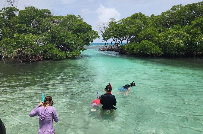 La Parguera Private Boat Charter - What the $200 price means