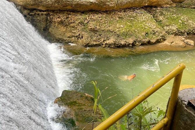 Largest Natural Waterslide, River Hike and Beach Tour in Arecibo - Who will enjoy this most