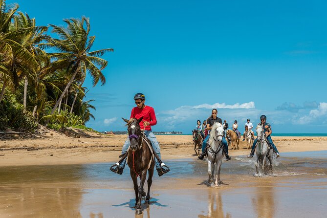 Luquillo Beach Horse Ride from Carabalí Rainforest Adventure Park - Quick points before you book