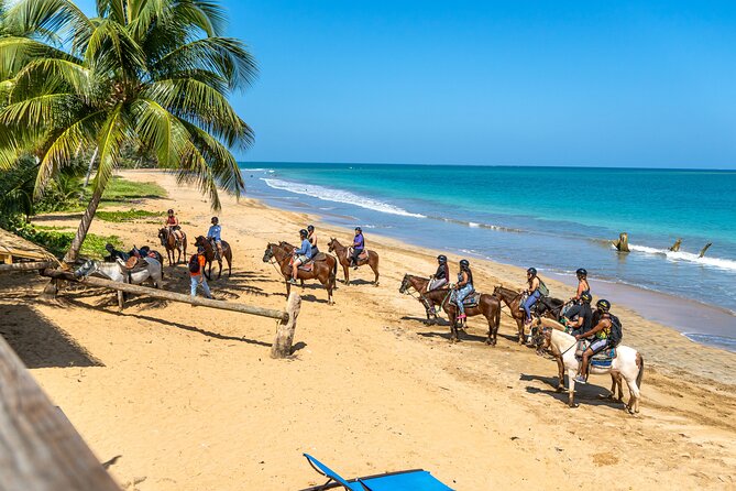 Luquillo Beach Horse Ride from Carabalí Rainforest Adventure Park - From Carabalí Park into the El Yunque foothills