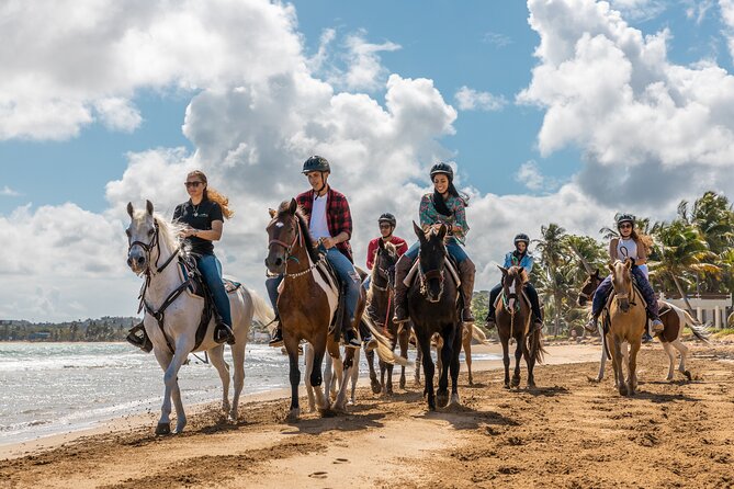 Luquillo Beach Horse Ride from Carabalí Rainforest Adventure Park - What the $164 price really buys