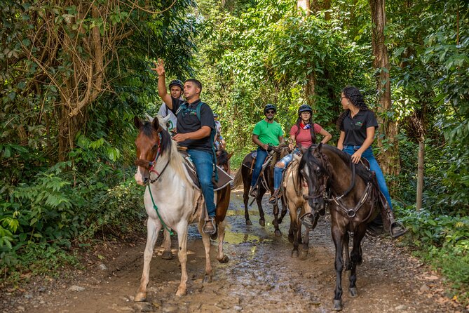 Luquillo Beach Horse Ride from Carabalí Rainforest Adventure Park - A tropical forest ride with real variety
