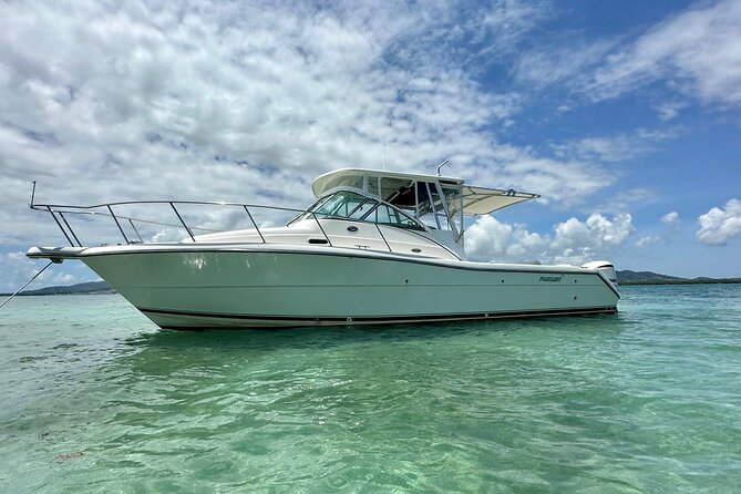 Luxury Private Tour to Fajardo Keys—Snorkeling & Island Adventure - Food, drinks, and what to bring