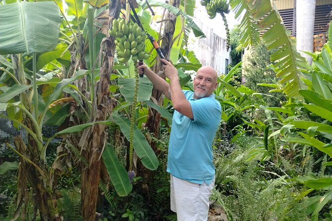 Modern Puerto Rican Cooking Class in a Historic San Germán Home - Why the private format makes a difference