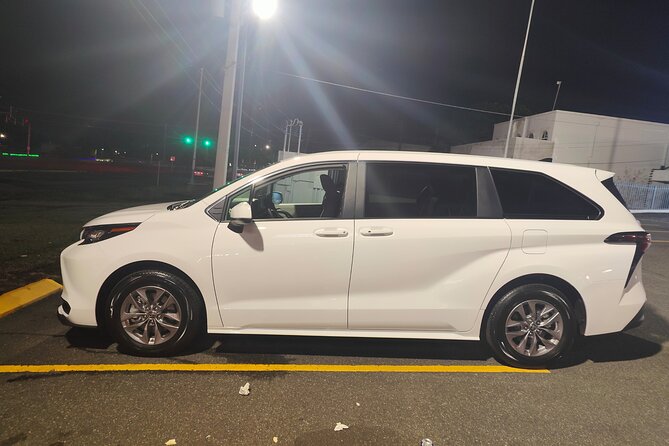 Multiple Taxi Services from the San Juan Airport Up to 6 People - Booking details that affect your plans