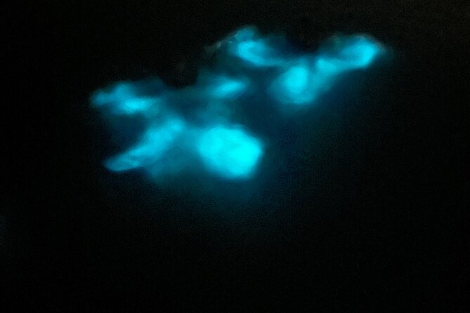 Mystic Waters A Bioluminescent Night Tour - Reaching La Parguera for the 8 p.m. departure