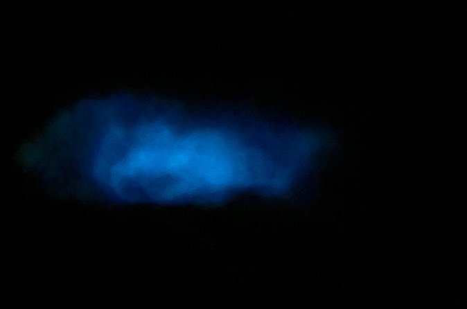 Mystic Waters A Bioluminescent Night Tour - What the $65 price really buys you