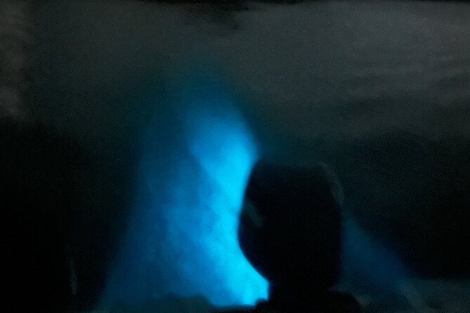 Mystic Waters A Bioluminescent Night Tour - Seeing the glow in the bioluminescent bay
