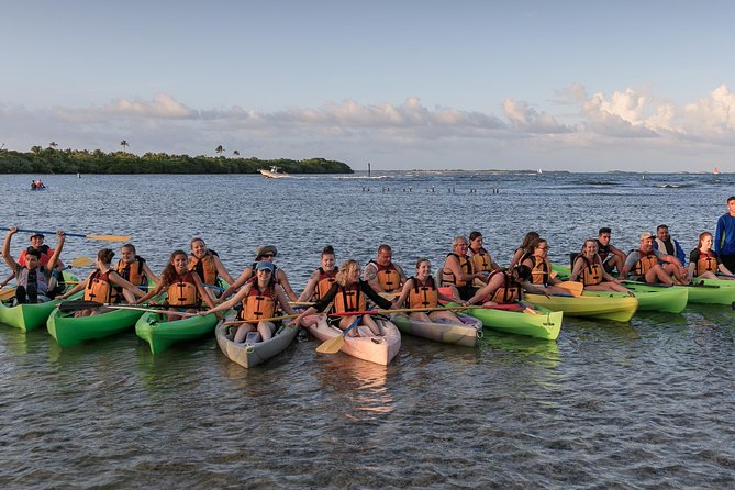 Night Kayaking Experience on Bioluminescent Lagoon in Fajardo - Through the mangrove channels after dark