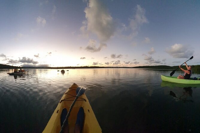 Night Kayaking Experience on Bioluminescent Lagoon in Fajardo - Seeing Laguna Grande’s bioluminescent water