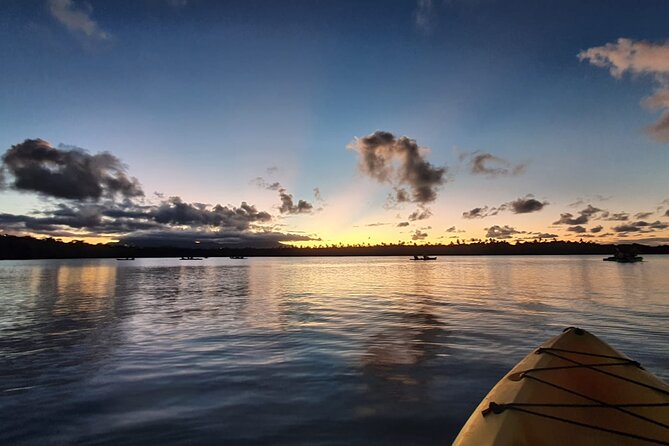 Night Kayaking Experience on Bioluminescent Lagoon in Fajardo - Why the guides make a difference
