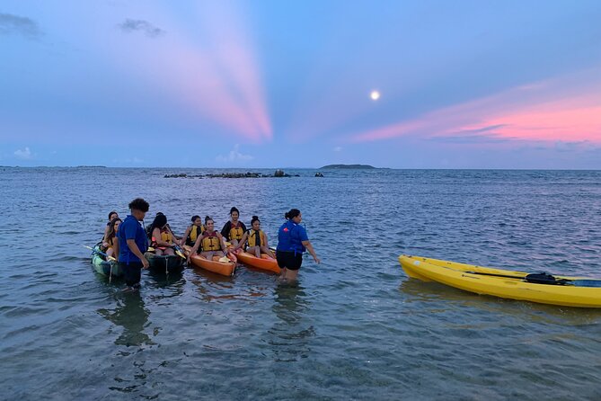 Night Kayaking Experience on Bioluminescent Lagoon in Fajardo - The accessibility rules you need to understand