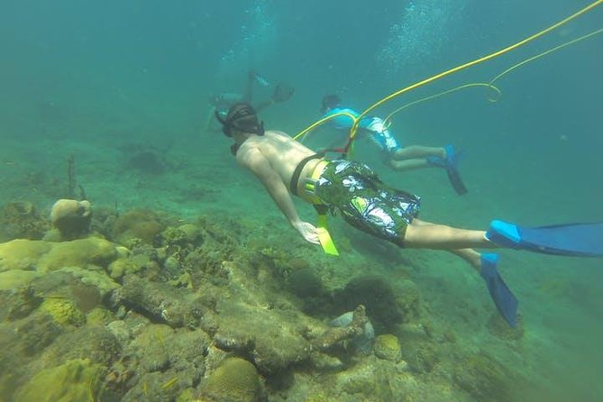 OCTOPUS DIVING (hookah diving) NO Experience Needed - Key points to know before you book