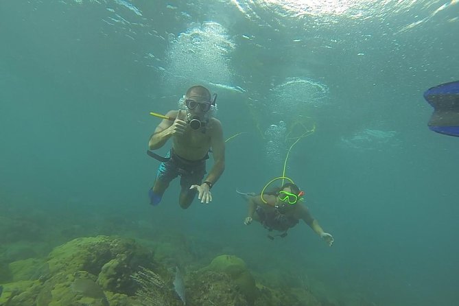 OCTOPUS DIVING (hookah diving) NO Experience Needed - Starting at Steps Beach in the Tres Palmas Marine Reserve