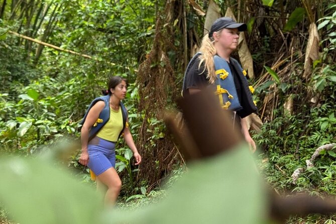 "Off the beaten path" Rain Forest Guided hike with Transportation - Natural trails, rivers, and the less polished side