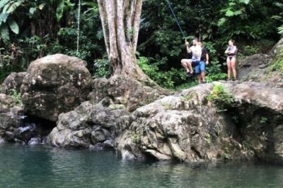 “Off the beaten path” Rain Forest Guided hike with Transportation