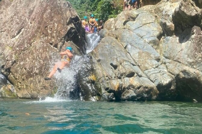 "Off the beaten path" Rain Forest Guided hike with Transportation - What the guide adds to the experience