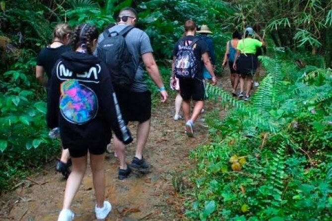 "Off the beaten path" Rain Forest Guided hike with Transportation - Is $95 a fair price?