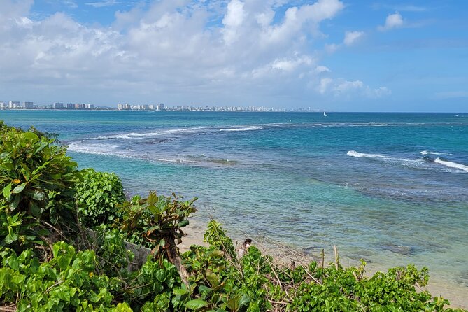 Old San Juan and Piñones Sightseeing Experience! - Practical value at $120 per person