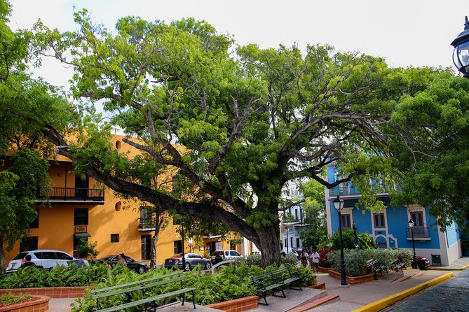 Old San Juan and Rum Factory Full-Day Tour: Minimum 8+ people - Group size, transport, and the day’s rhythm