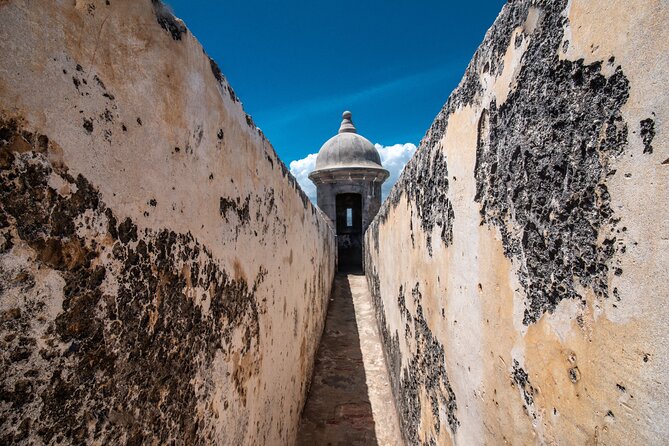 Old San Juan Deluxe Walking Tour - Cruise-Ship Passengers Need a Careful Schedule