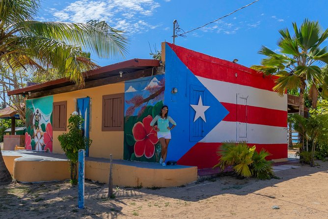 Old San Juan & Loiza African Town Full-Day Tour: Minimum 8+people - The drive through New San Juan and its murals