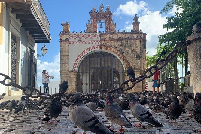 Old San Juan Walking Tour with a Local Certified Guide - Castillo San Felipe del Morro and the city’s defensive story