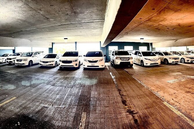 One-way transfer from SJU Airport to Cruise Port or Vice Versa - Punctuality, communication, and safety