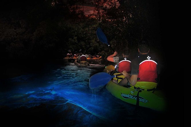 Overnight Bio Bay Kayak Tour in Vieques Island - The ride to the bay and the muddy launch