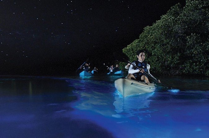 Overnight Bio Bay Kayak Tour in Vieques Island - Is $65.99 a fair price?