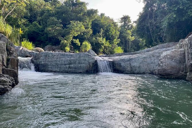 Pinones Bar Hopping Beach Food Tour & Caguas River Hidden Gem - Food stops, fritters, and local flavors