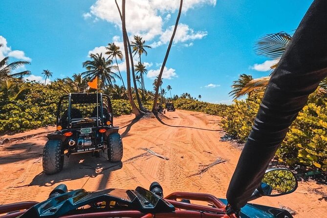 Piñones Beach Buggy + El Yunque Waterfall Adventure - Two Puerto Rican settings in one six-hour day