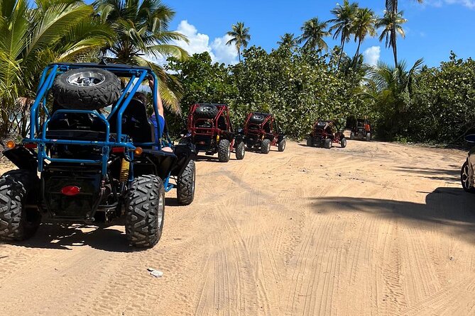 Piñones Beach Buggy + El Yunque Waterfall Adventure - What is included and what that means for value