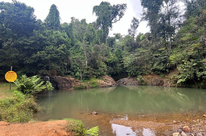 Pork Highway & Cayey Cultural & Gastronomical Experience - Booking and cancellation advice